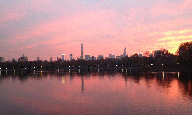 Les petits secrets de Central Park