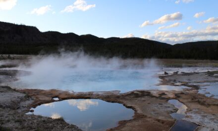 Yellowstone – le Graal