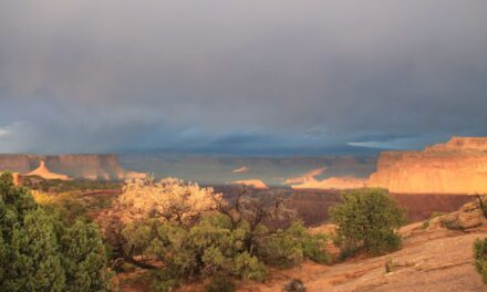 Canyonlands: un condensé des merveilles du Wild Wild West