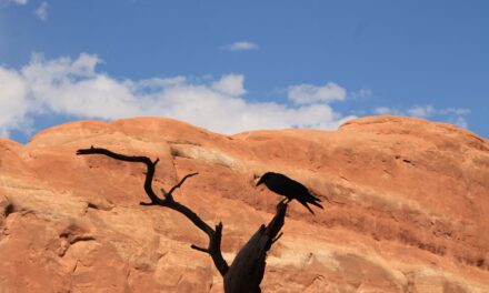 3ème étape où il est question d’arches, de chevaux morts et de tempête de sable