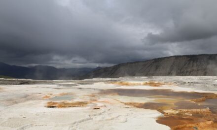 Yellowstone – une terre volcanique