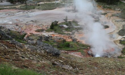 Yellowstone – 2ème jour