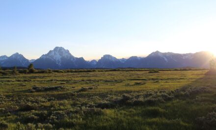 Dernier jour à l’Ouest de Yellowstone