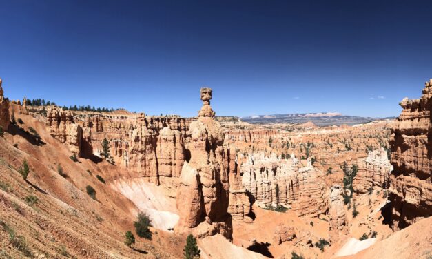 Bryce Canyon: des Hoodoos, des Hoodoos et encore des Hoodoos