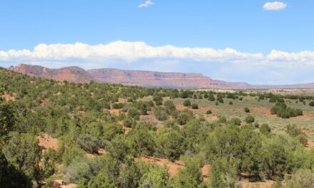 Pipe Spring National Monument: Une jolie étape sur la route de Grand Canyon